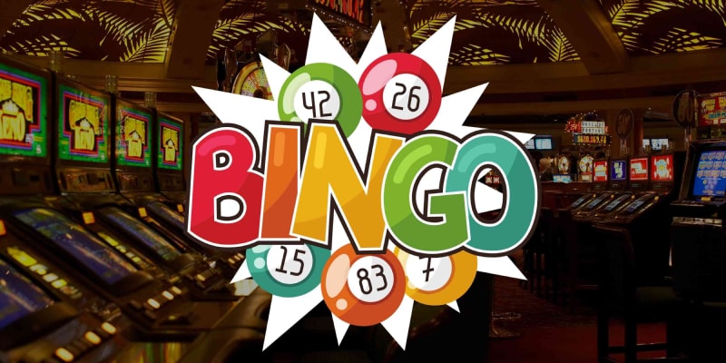 Overview of bingo casino