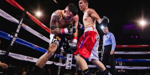 What is boxing betting?